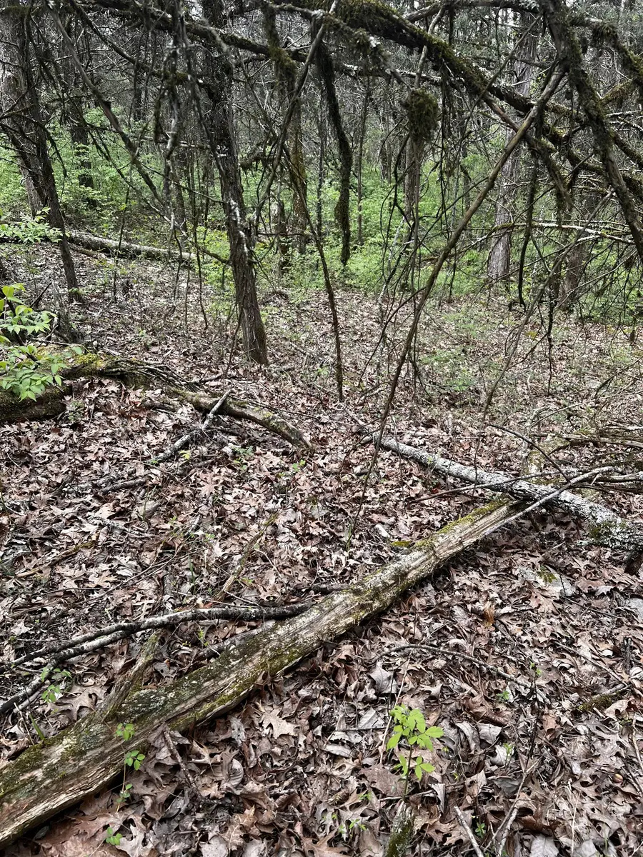 975 Main St, Lynchburg, TN 37352 - Image #2