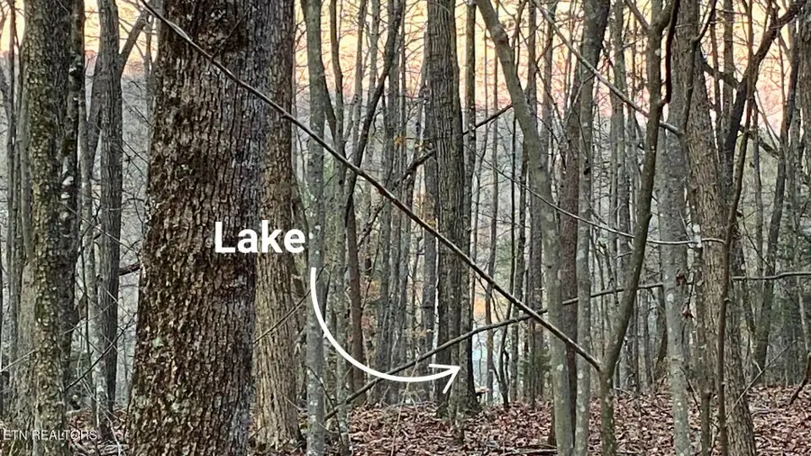 0 1.01ac Hiwassee View Drive, Jacksboro, TN 37757 - Image #3