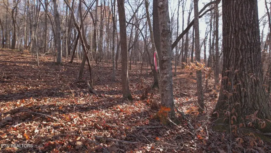 0 Lot 116 Hiwassee View Drive, Jacksboro, TN 37757 - Image #2