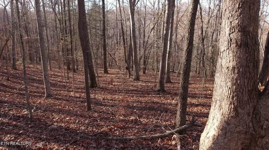 0 Lot 116 Hiwassee View Drive, Jacksboro, TN 37757 - Image #3