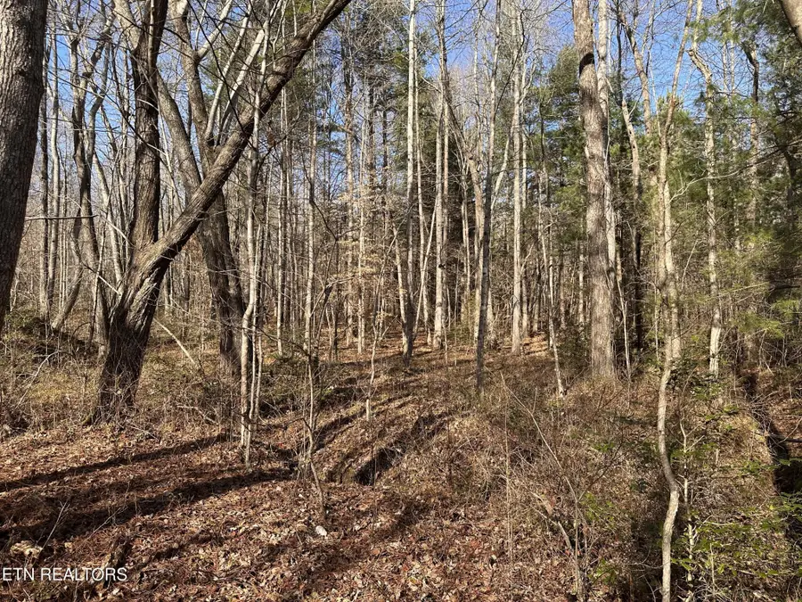 1456 Acres Hwy 52, Robbins, TN 37852 - Image #2