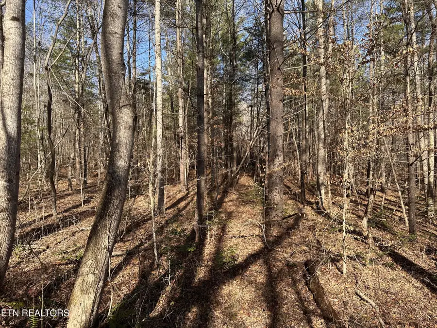 1456 Acres Hwy 52, Robbins, TN 37852 - Image #3