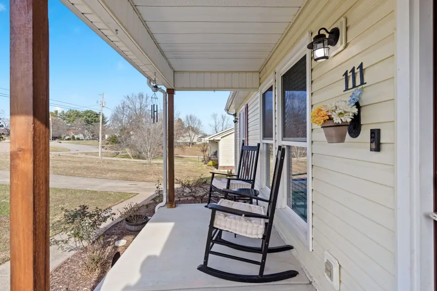 111 Garland Ct, White House, TN 37188 - Image #3