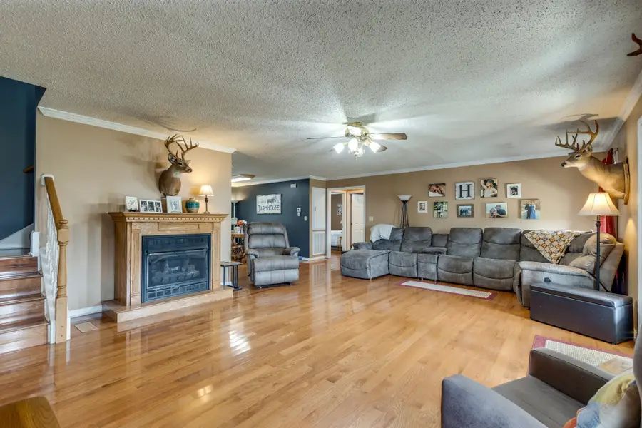 353 Major Rd, Cornersville, TN 37047 - Image #2