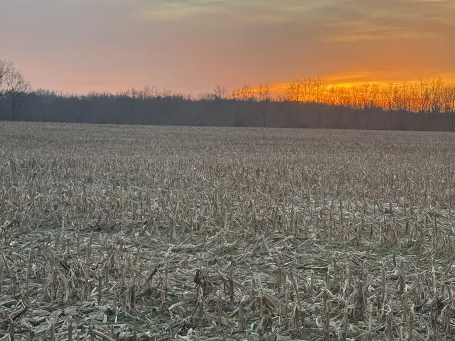 0 Hodge Rd, Manchester, TN 37355 - Image #2