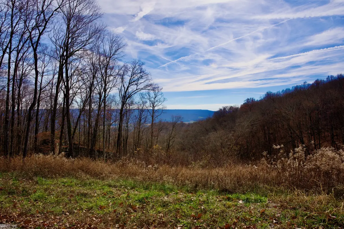 323A White Oak Flatt Rd, Sparta, TN 38583 - Image #1