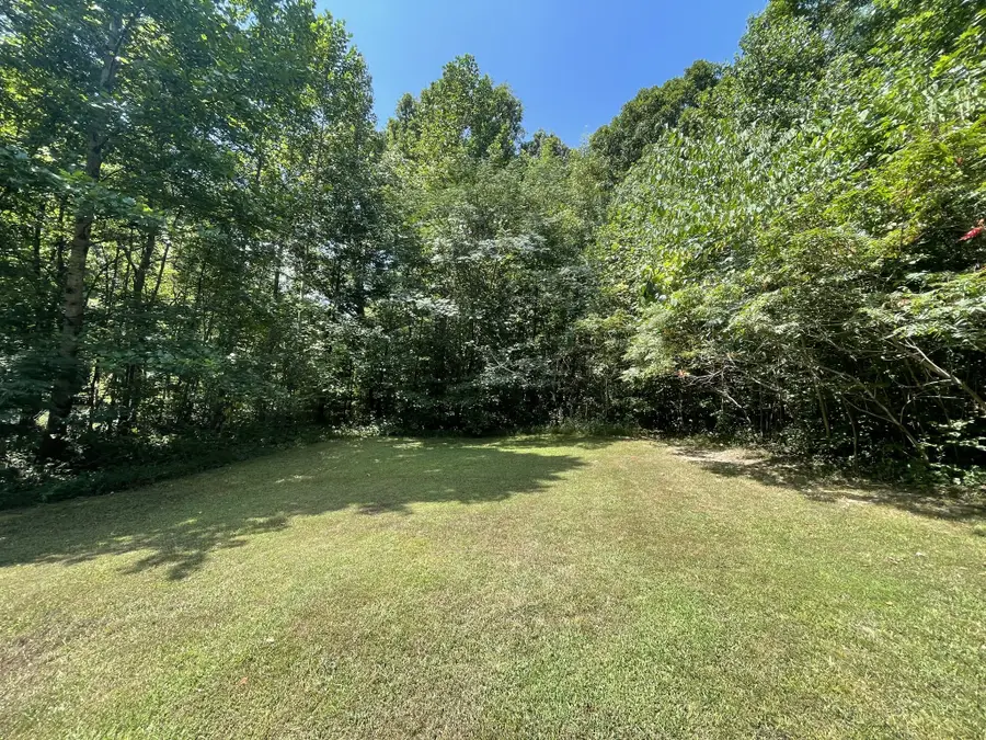 123 Limekiln Rd, Erin, TN 37061 - Image #2