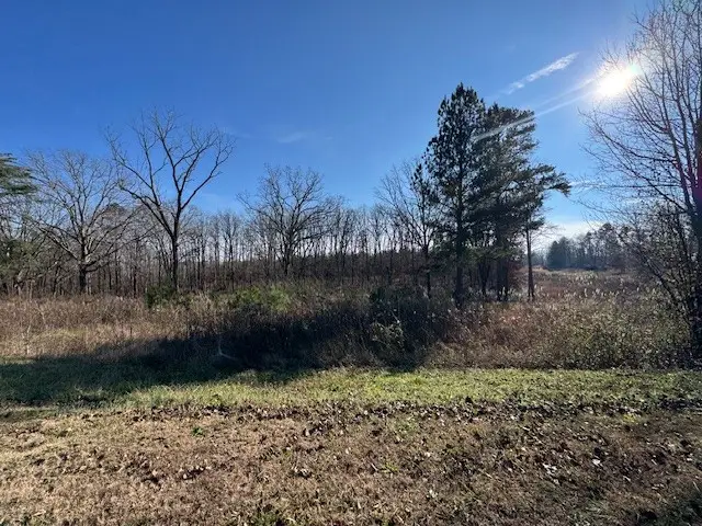 0 Columbia Hwy, Hohenwald, TN 38462 - Image #3