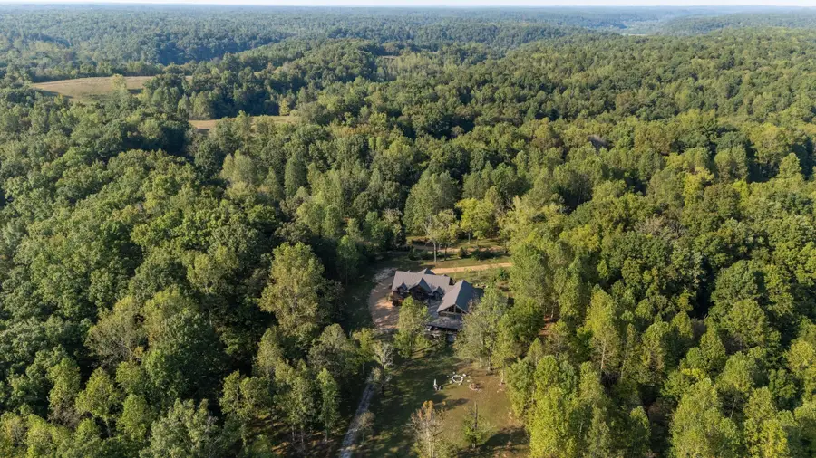 7501 Ivorybill Ln, Franklin, TN 37064 - Image #3