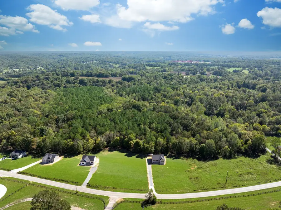 0 Old County House Road, Charlotte, TN 37036 - Image #3