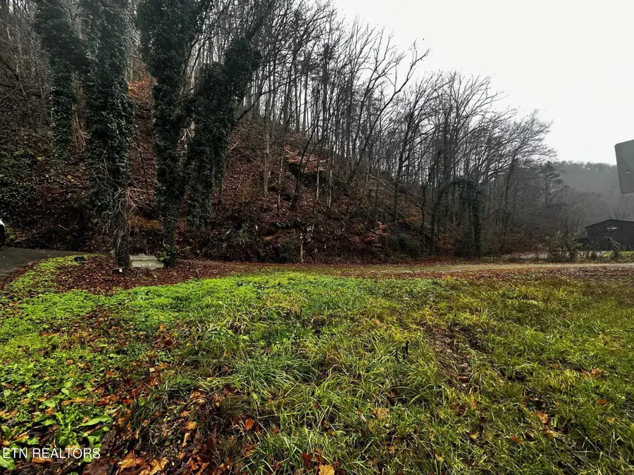 0 Cherohala Skyway, Tellico Plains, TN 37385 - Image #3