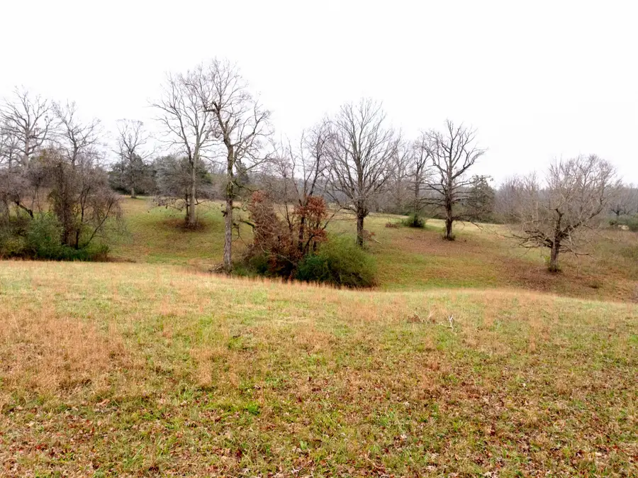 0 Ridgecrest Dr, Dickson, TN 37055 - Image #3