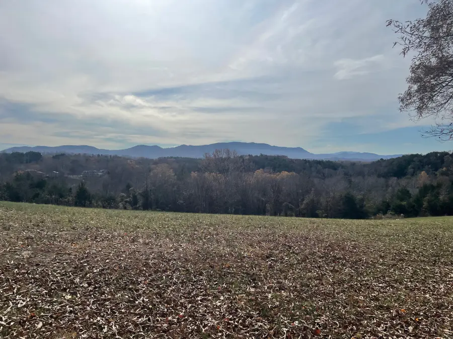 0 Quiet Cove Way, Dandridge, TN 37725 - Image #3