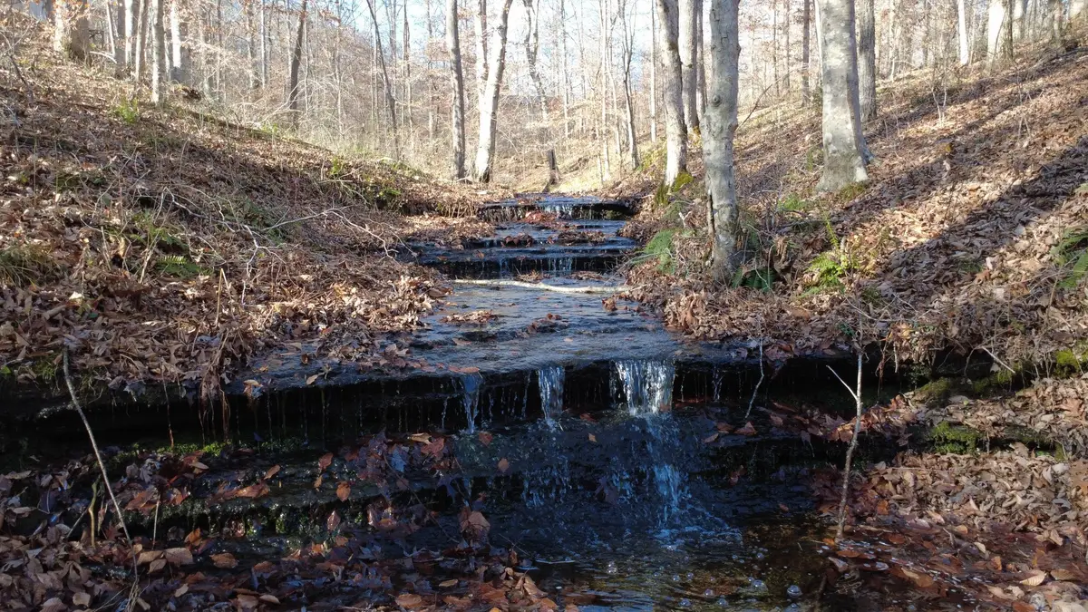 314 Burns Hollow Rd, Waynesboro, TN 38485 - Image #1