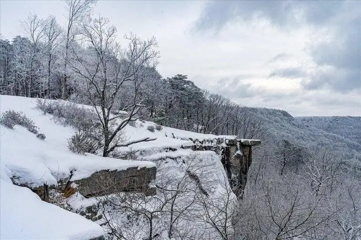 110 Falls Lane, Spencer, TN 38585 - Image #1