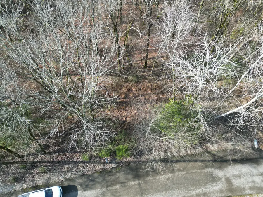 0 Wilson Circle, Smithville, TN 37166 - Image #2