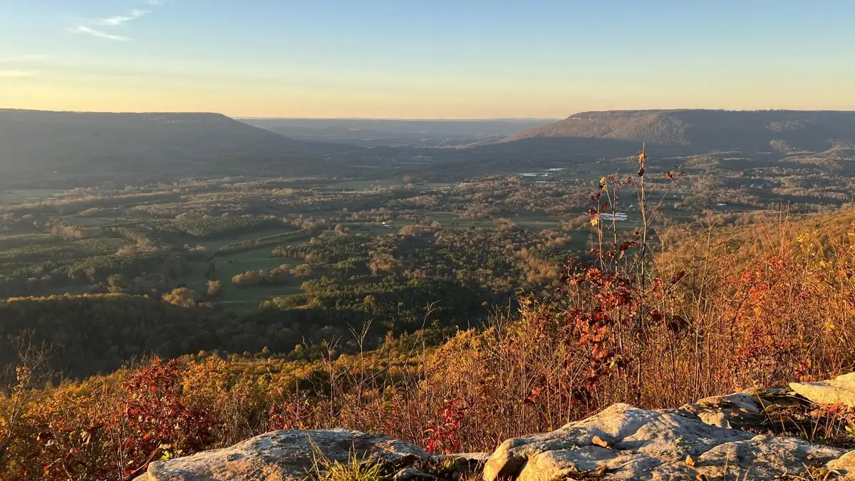 0 Tatum Gulf Road, Menlo, GA 30731 - Image #1