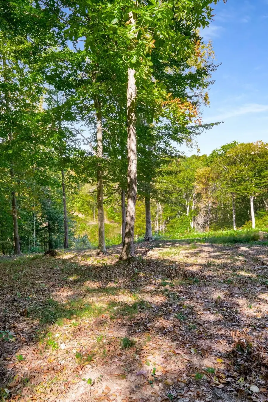 5436 Parker Branch Rd, Franklin, TN 37064 - Image #2