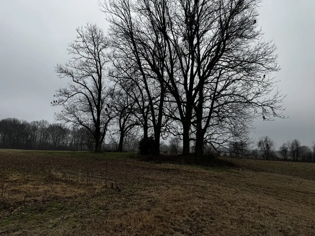 0 Lightfoot Luckett Road, Ripley, TN 38063 - Image #1