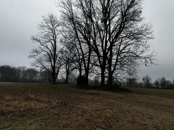 0 Lightfoot Luckett Road, Ripley, TN 38063