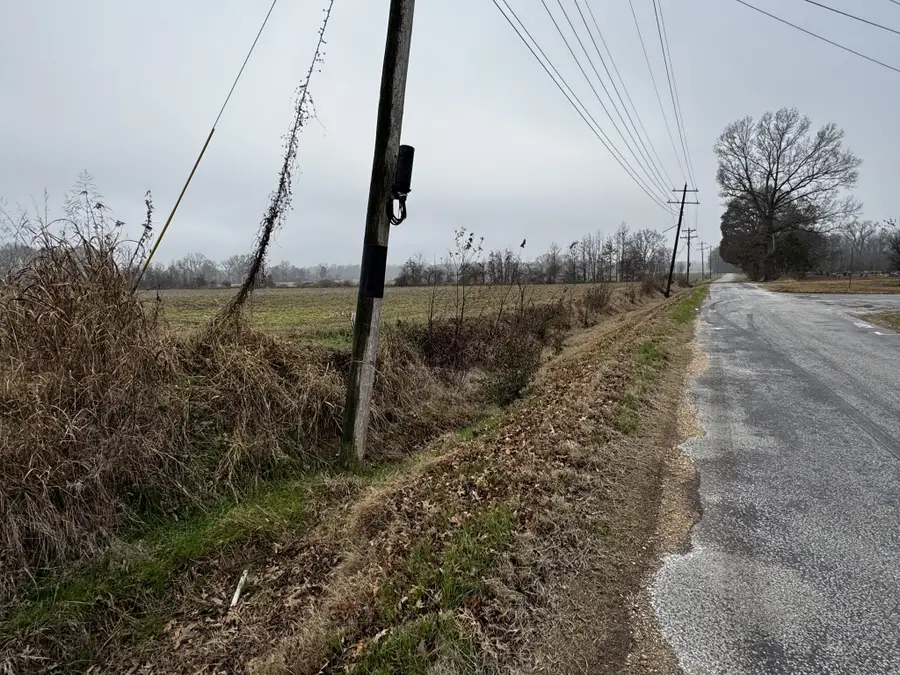 0 Lightfoot Luckett Road, Ripley, TN 38063 - Image #2