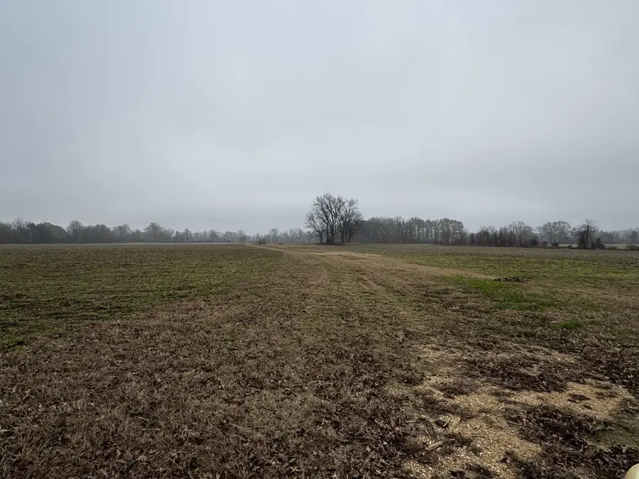 0 Lightfoot Luckett Road, Ripley, TN 38063 - Image #3