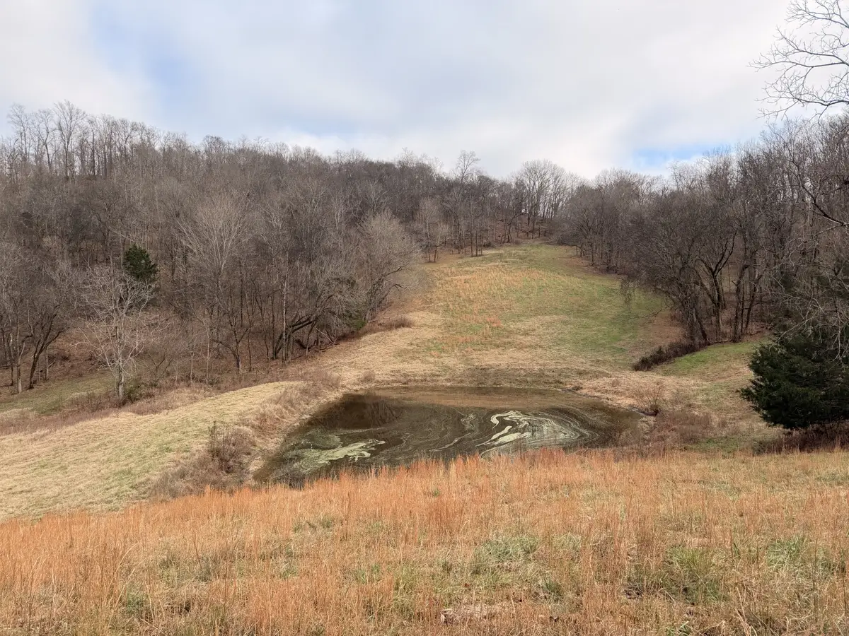 7 Crooked Hill Rd N, Pulaski, TN 38478 - Image #1