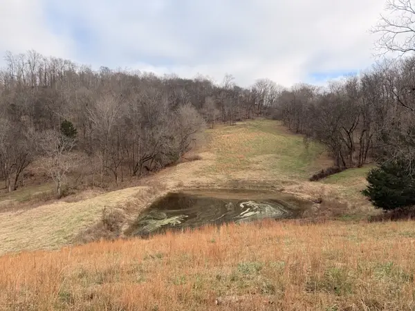 7 Crooked Hill Rd N, Pulaski, TN 38478