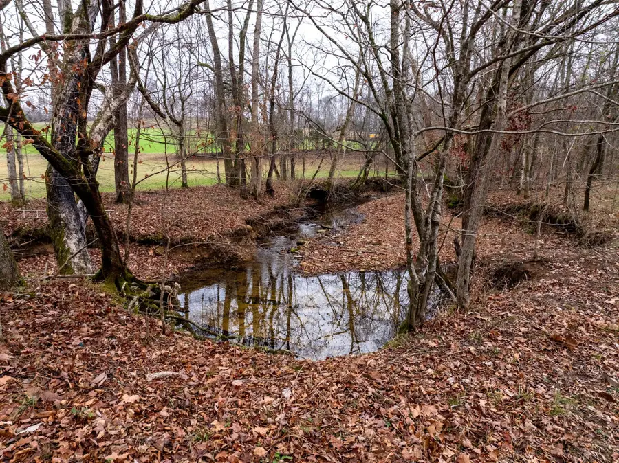 0 Shelter Branch Road, Cumberland Furnace, TN 37051 - Image #3