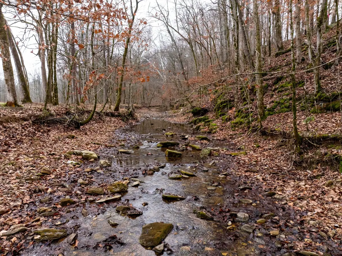 0 Shelter Branch Road, Cumberland Furnace, TN 37051 - Image #1