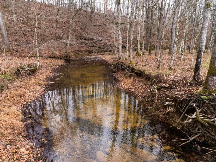 0 Shelter Branch Road, Cumberland Furnace, TN 37051 - Image #3