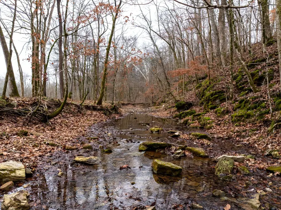 0 Shelter Branch Road, Cumberland Furnace, TN 37051 - Image #3