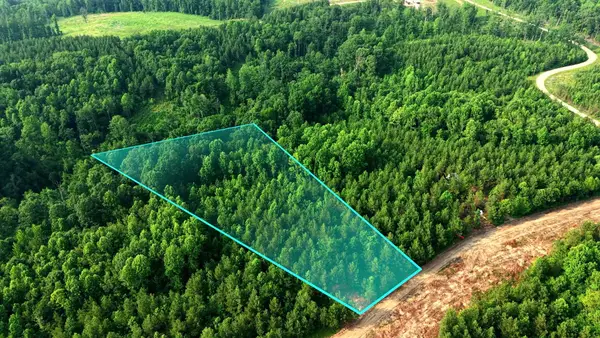 0 Cox Hollow, Dover, TN 37058