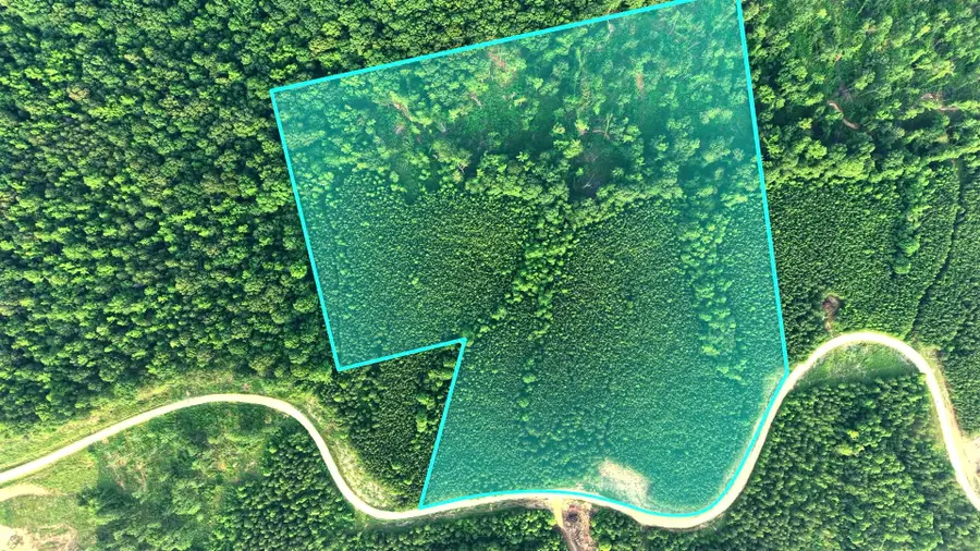 0 Cox Hollow, Dover, TN 37058 - Image #2