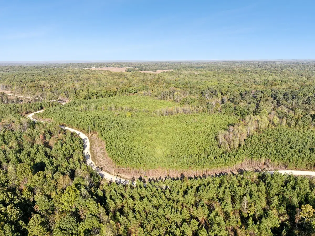 0 Cox Hollow, Dover, TN 37058 - Image #1