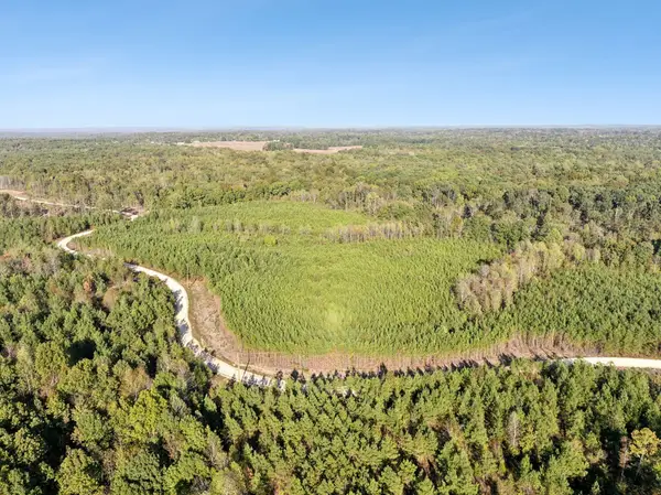 0 Cox Hollow, Dover, TN 37058