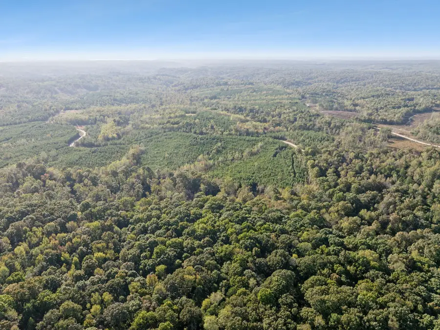 0 Cox Hollow, Dover, TN 37058 - Image #2