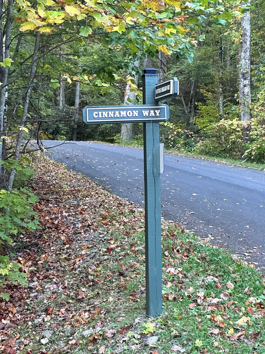 3715 Cinnamon Way, Sevierville, TN 37862 - Image #2