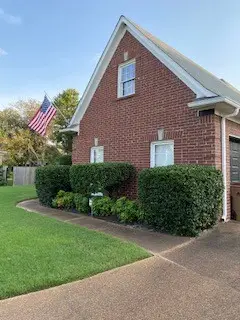 8875 Linell Cv, Cordova, TN 38016 - Image #3