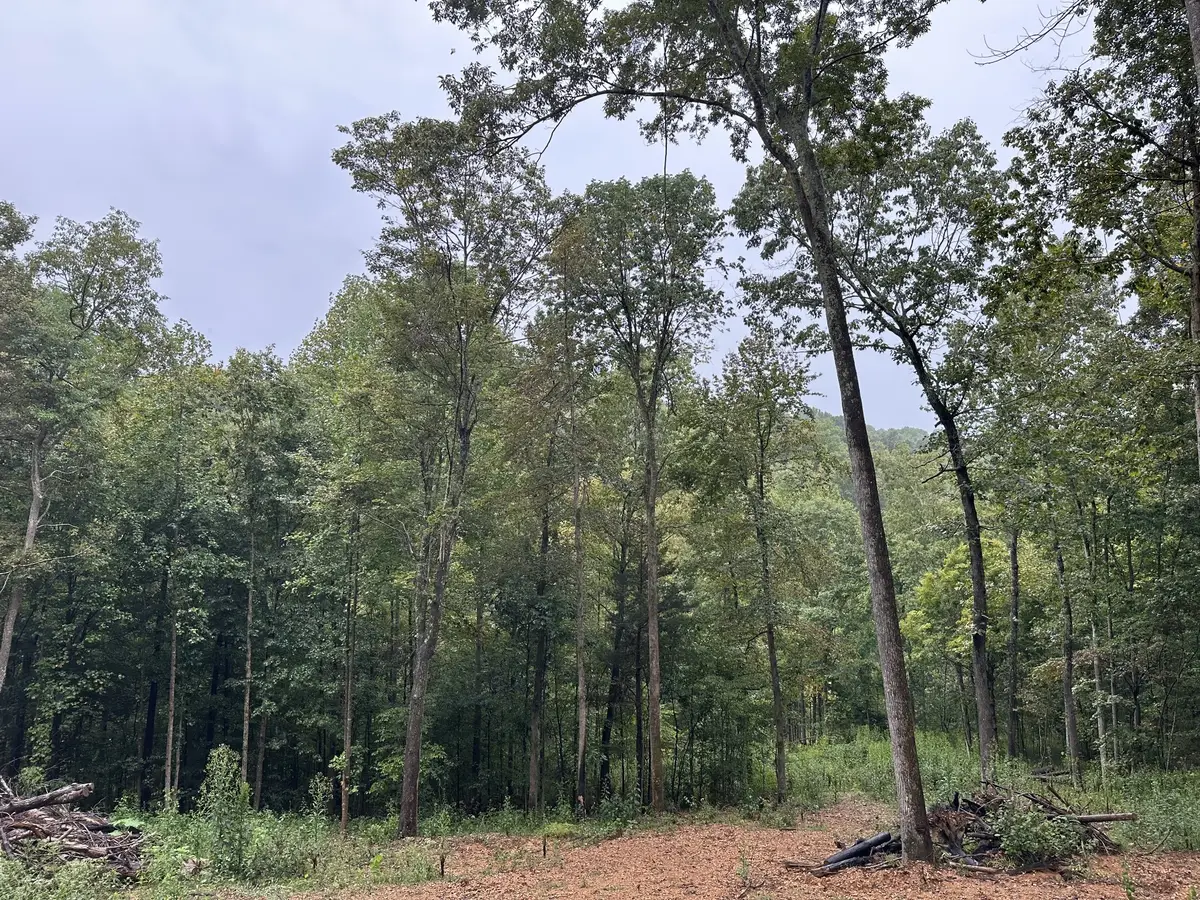 453 Gravely Hill Road, Bethpage, TN 37022 - Image #1