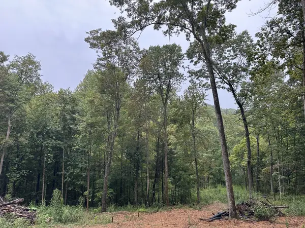 453 Gravely Hill Road, Bethpage, TN 37022