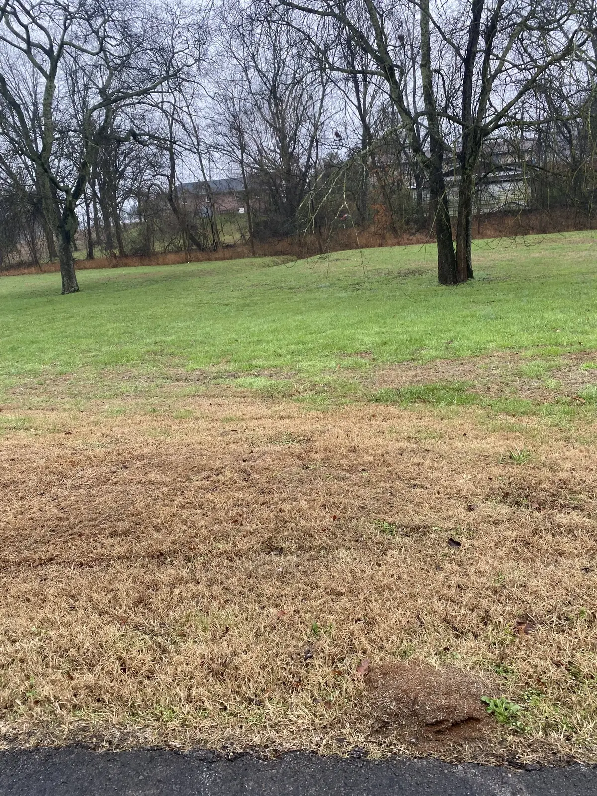 109 Mimi Cir, Pulaski, TN 38478 - Image #1