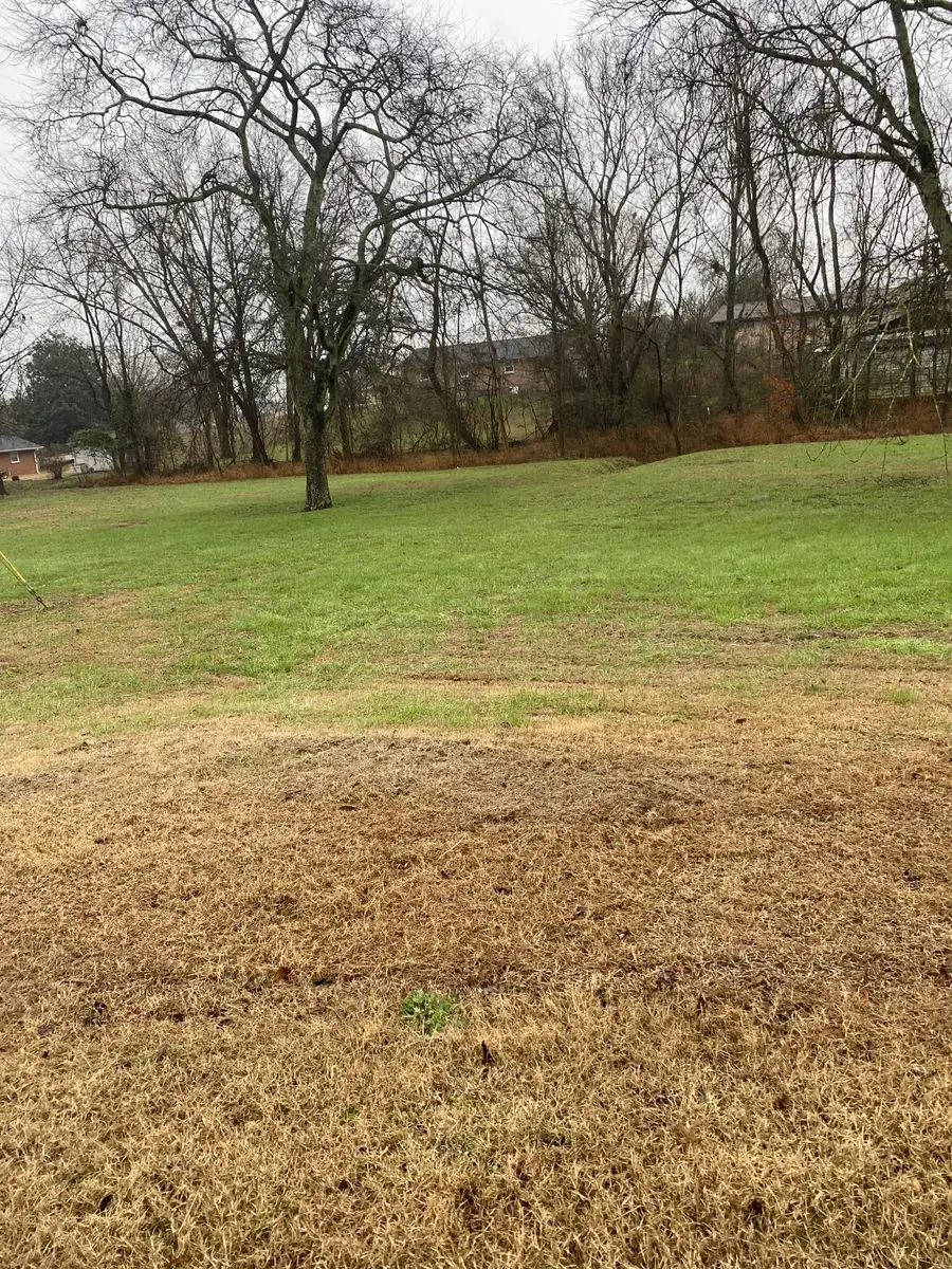 109 Mimi Cir, Pulaski, TN 38478 - Image #3