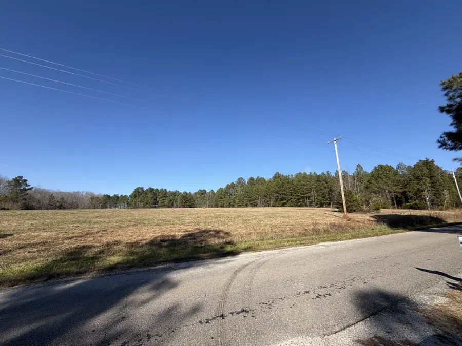 199 Coxburg Road, Holladay, TN 38341 - Image #3