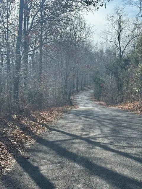 0 Tick Rd, Hilham, TN 38568 - Image #2