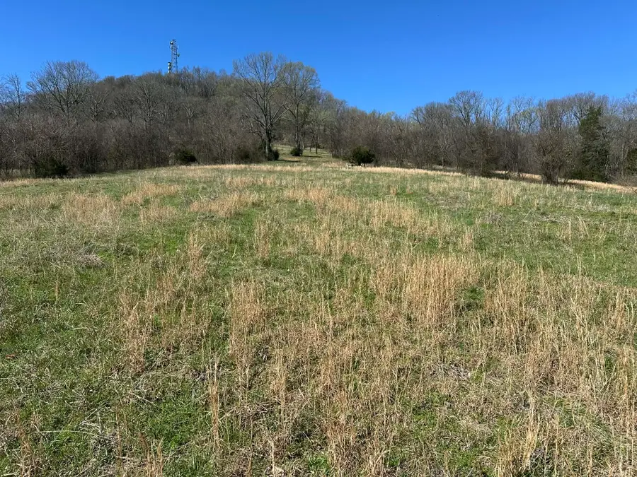 0 Templow Rd, Bethpage, TN 37022 - #3