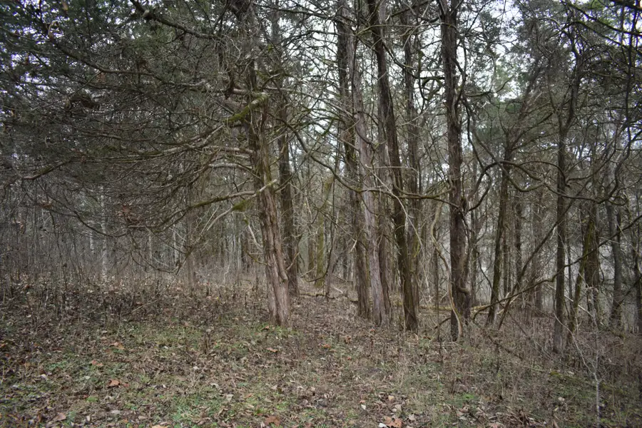 256 Maggart Rd, Elmwood, TN 38560 - Image #2