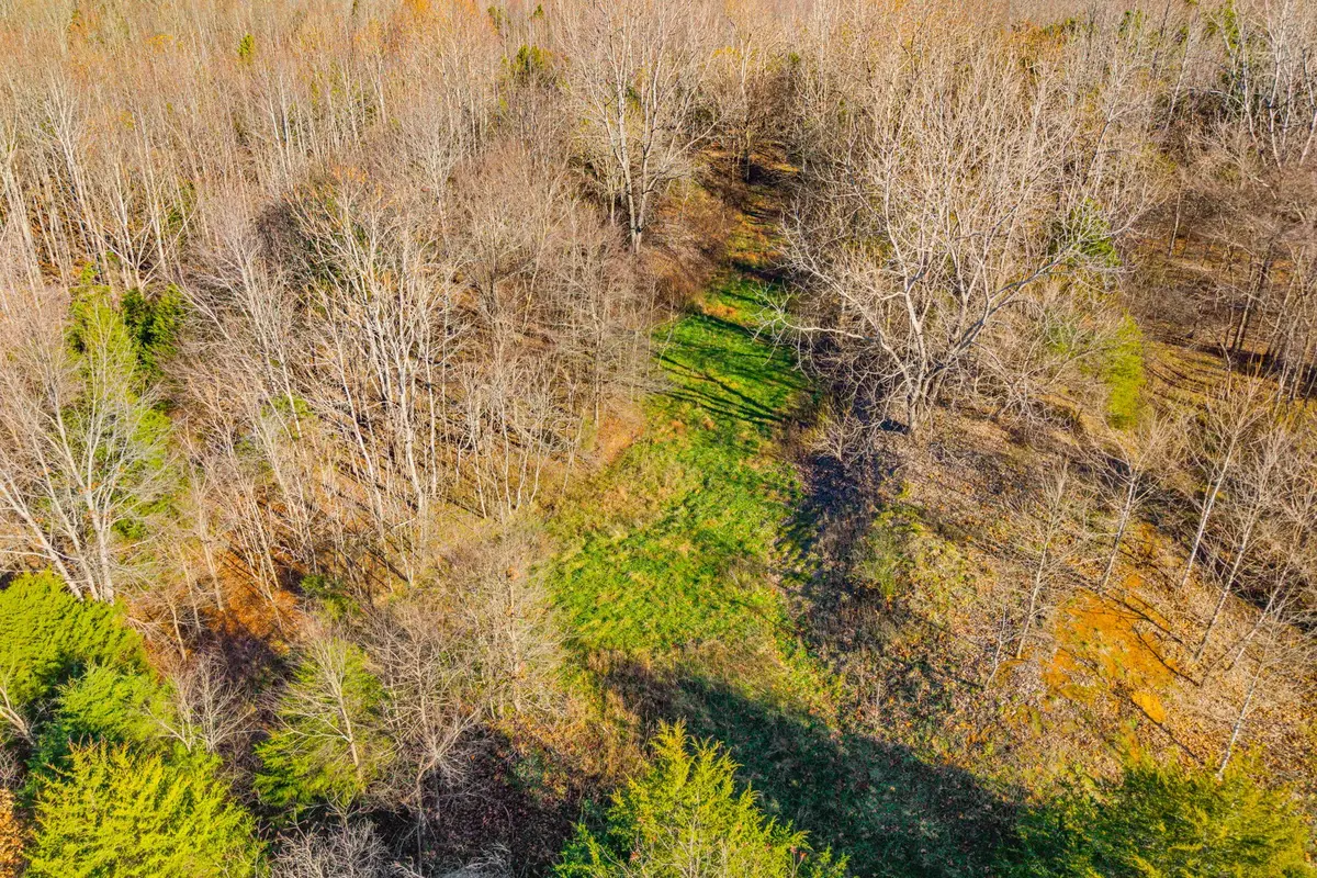 96 Ramery Rd, Cumberland City, TN 37050 - Image #1