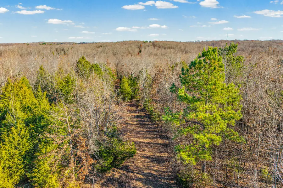 96 Ramery Rd, Cumberland City, TN 37050 - Image #3