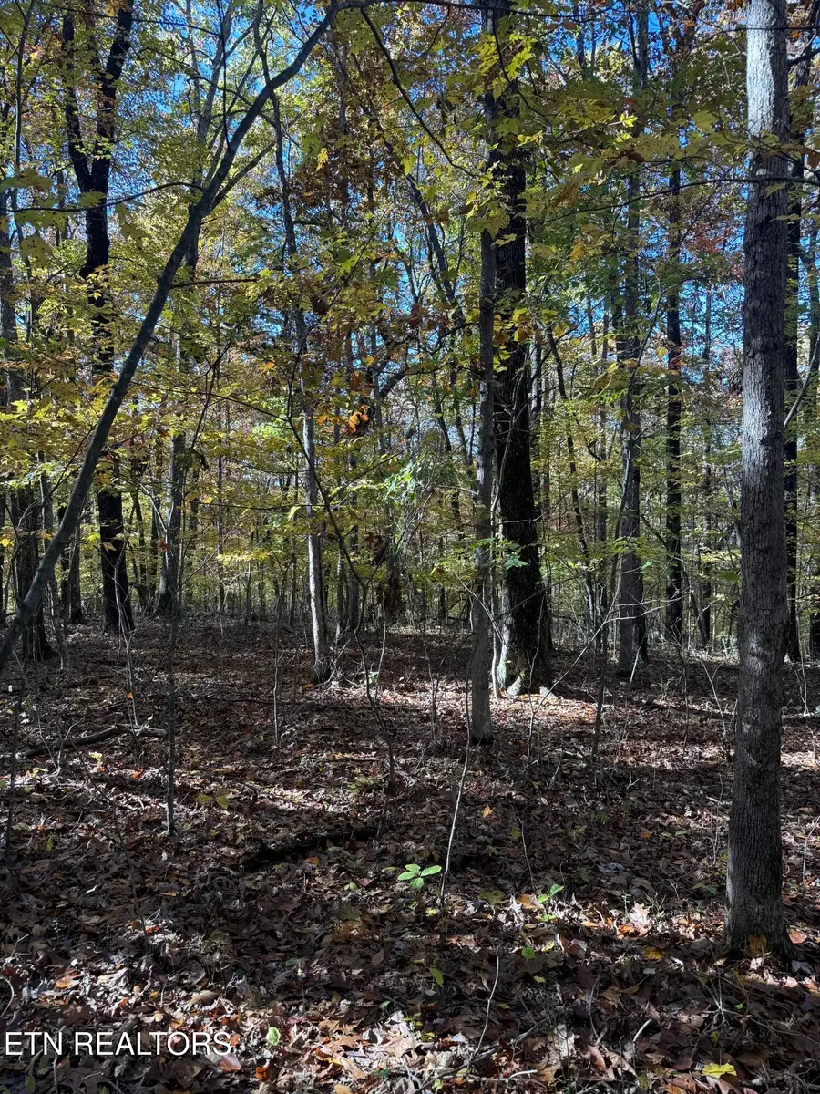 29 Crest Rd, Monterey, TN 38574 - Image #2